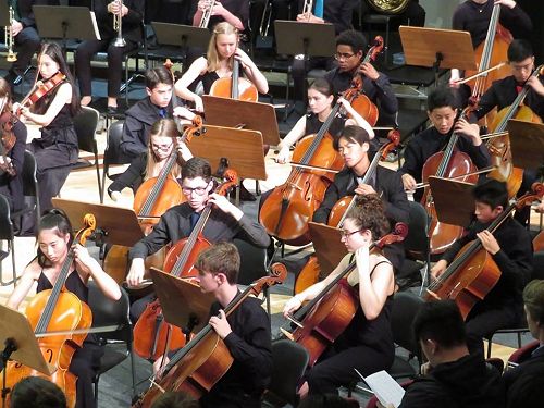 NZSSSO 2019 Cello  Section 