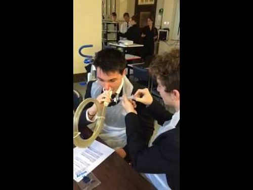 Video: Year 13 Biology Laboratory Field Trip