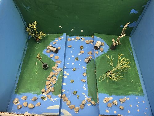 Our tamariki built their tuna habitats based on their designs and concept plans
