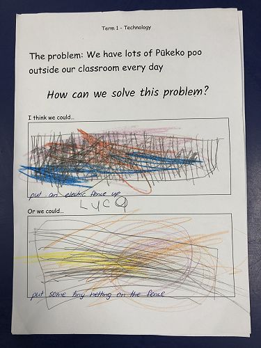 Harakeke Technology Problem