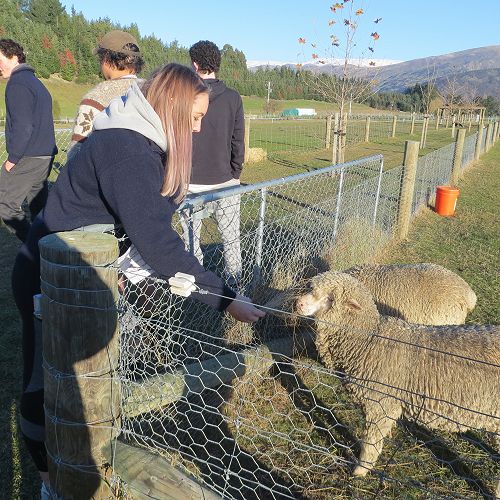 Loving the farm animals!