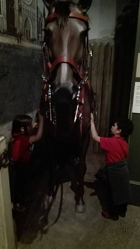 Team Awa's Visit to the Art Gallery and Museum