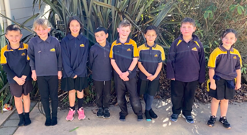 Team Explorer Class Councillors