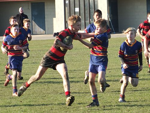 2016 RUGBY UNDER 12 