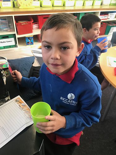 Milkshakes, Rm 3 - T2 2019