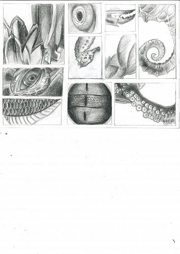 Zong-Yu grid drawing