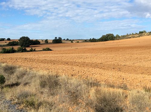 Day 14 Just walking along Camino Real o de las Vacas, Santovenia de la Valdoncina
