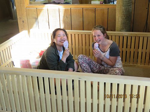 Greenstone Caples Tramp