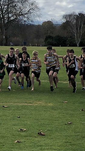 Cross Country Championships