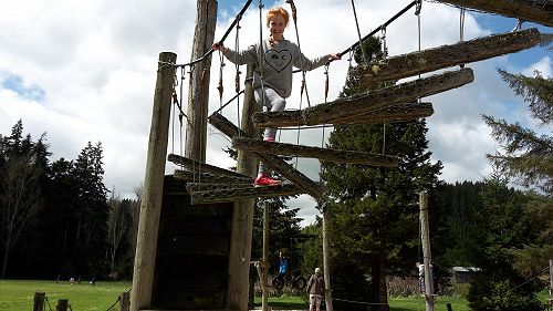 Ruby on the confidence course.