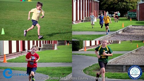 Video: Senior Cross Country