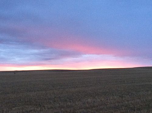 Day 12 Walking towards Carrion de los Condes