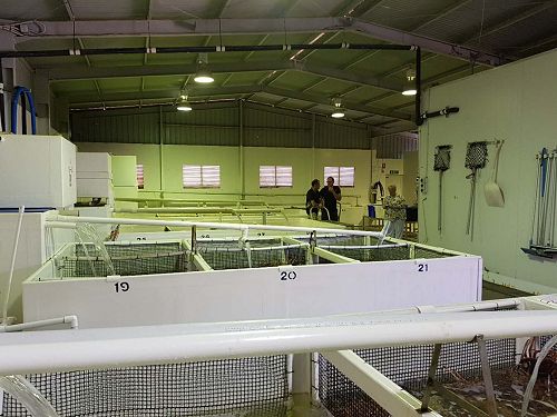 Port Lincoln Facility