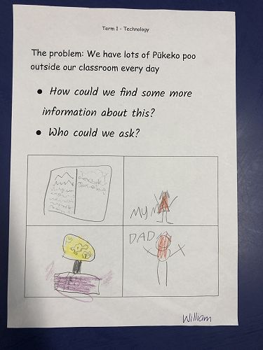 Harakeke Technology Problem