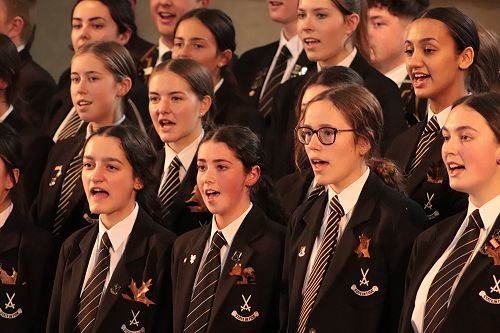 Brown leaves for California Dreaming