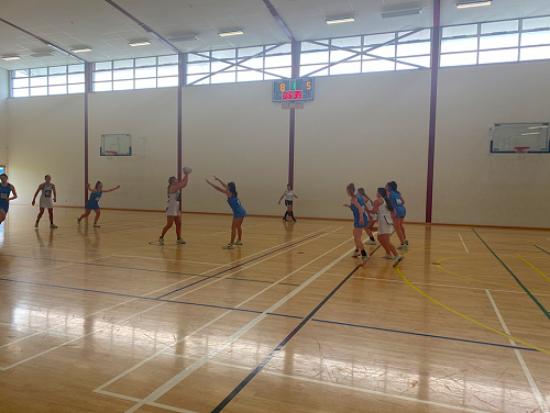 Columba vs St Hilda's - Netball