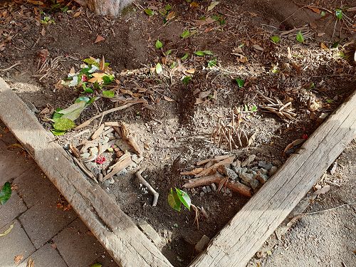 Mini house construction