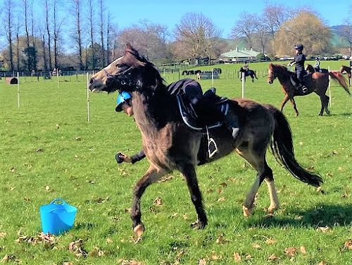 Phia Hearley - Mounted Games