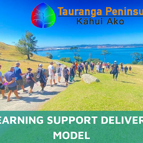 Kāhui Ako - Learning Support Delivery Model