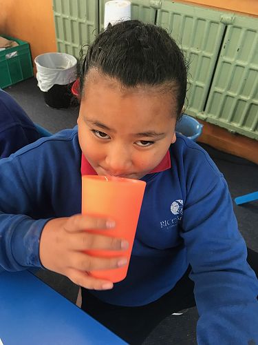 Milkshakes, Rm 3 - T2 2019