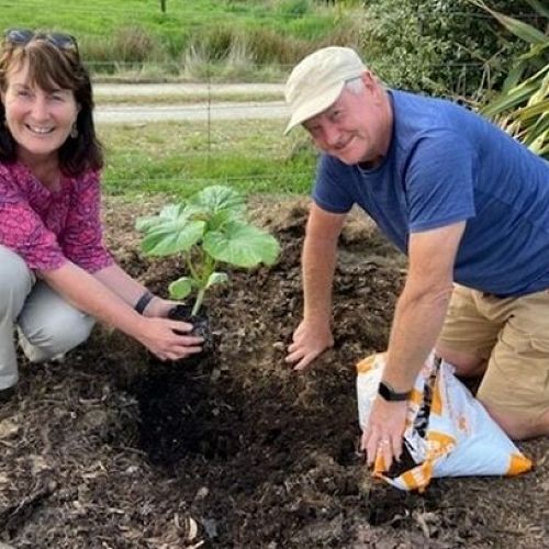 Nicola Brown and Tony Brown (no relation) from Wanaka Rotary hard at work with a new pumpkin patch.