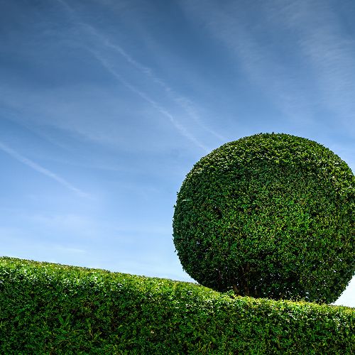 Have you been doing some gardening?