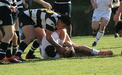 1st XV vs New Plymouth Boys' High School