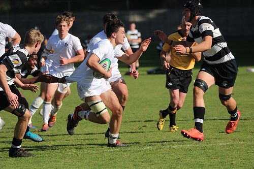 1st XV vs New Plymouth Boys' High School