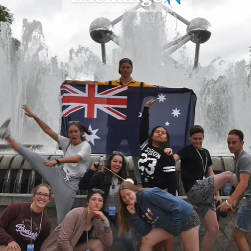 Rotex D9790 TikTok page