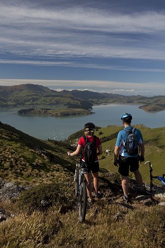 Biking Port Hills