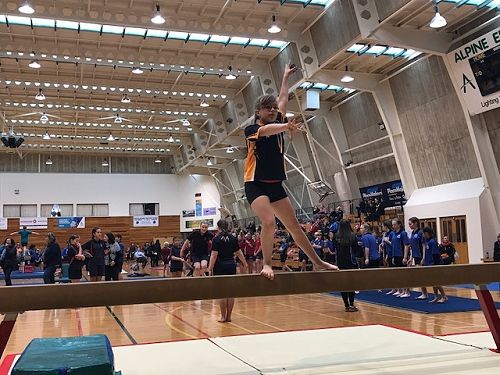 Gymnastics 2017
