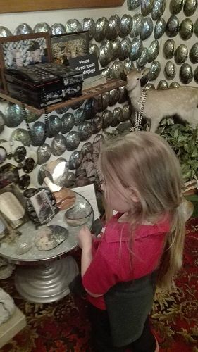 Team Awa's Visit to the Art Gallery and Museum