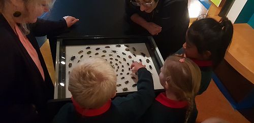 Awa's Trip to the Canterbury Museum