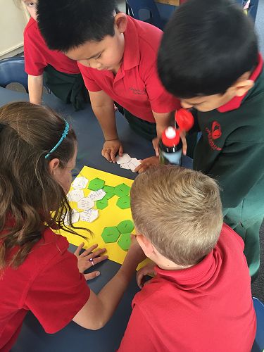 Making connections about the Olympic Games