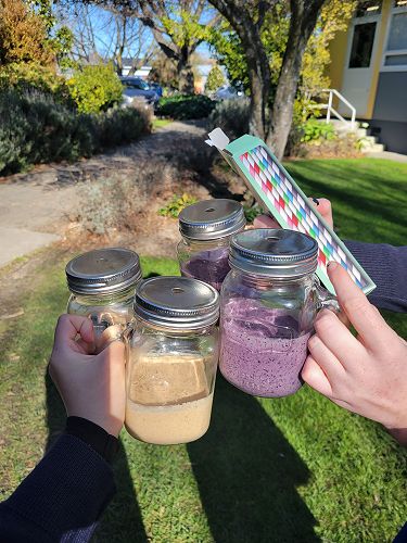 Making smoothies New Zealand style