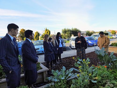 Greerton Village - Gardening Project