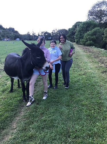 Arion Animal Farm at McLean Forest