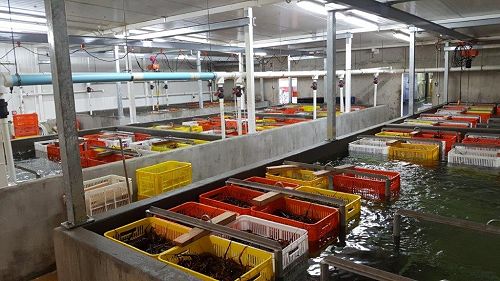 Te Anau low tank upgrade.