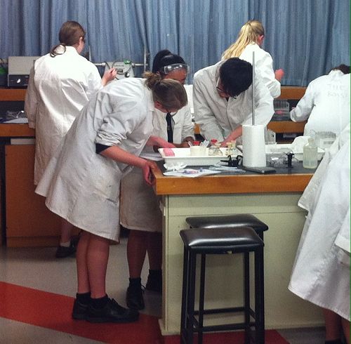 Olivia, Vanessa and Zhouhaoyi decide which task to do first.

