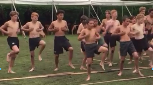 Roman and Hunter in action at the taiaha wānanga