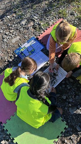 Mānuka Trip to the Willows