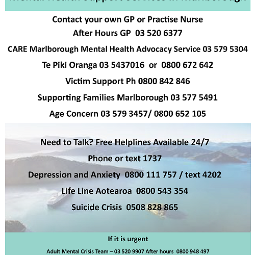 Mental Health Support Services