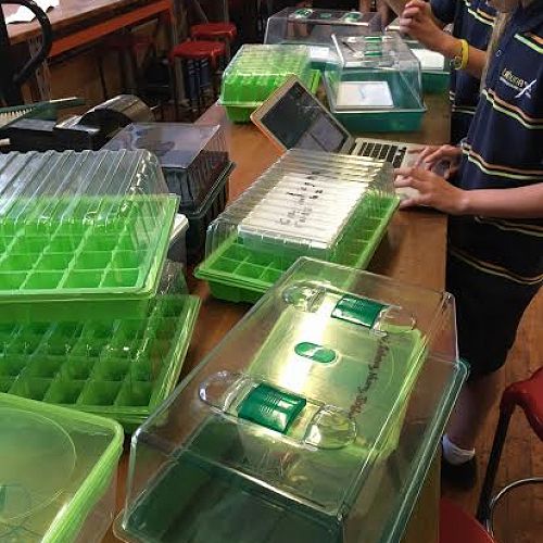 Mini greenhouses waiting for their programming