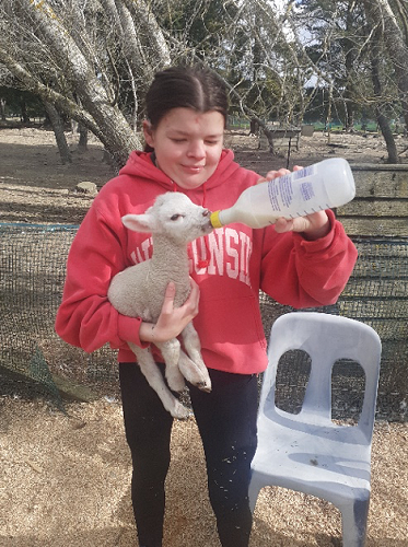 Arion Animal Farm at McLean Forest