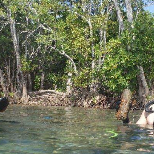 Craig Smith (Left) - past pupil STC 
