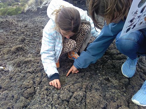 It may be small but it's amazing