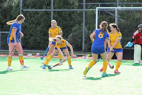 Annie defending a shot on goal