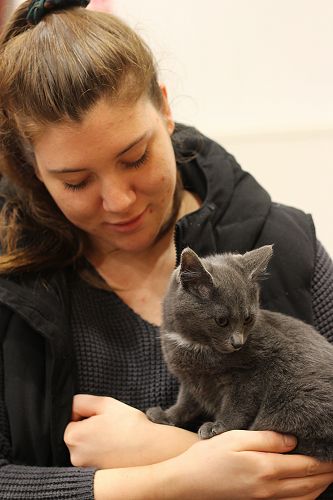 Cat Rescue Dunedin at St Margaret's College