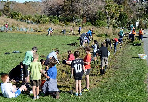 Arbor Day Planting, Aranui Park