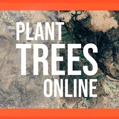 Video: What’s Ecosia and how does it work?